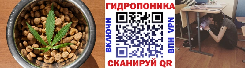 где купить   Солигалич  Cannafood марихуана 