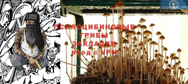герыч Каменногорск