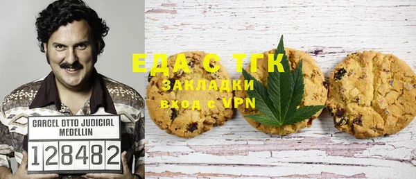 ALPHA PVP Инсар