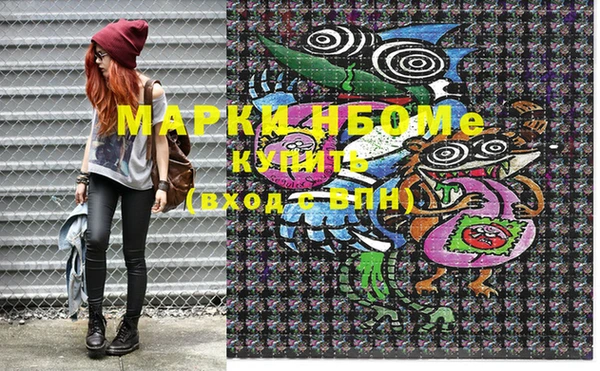 mix Инта