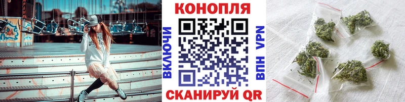 наркота  Солигалич  МАРИХУАНА сатива 